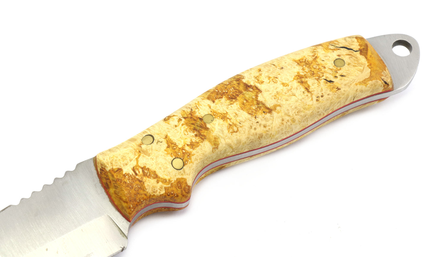 Buckeye Burl Tanto Knife