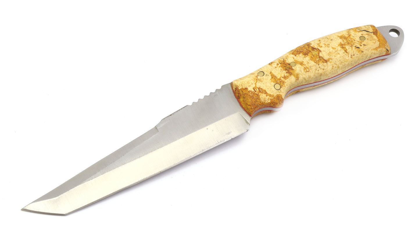 Buckeye Burl Tanto Knife