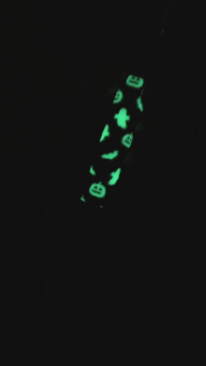 Glow in the Dark Halloween Fountain Pen